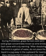 1769034017564.png