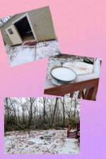 BirdfoodnBackyard.jpg