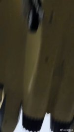 IMG_2871.jpeg