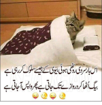 1769553453798.png
