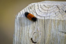 OutNAbout--30.jpg