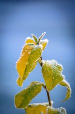 OutNAbout--33.jpg