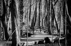 OutNAbout--36.jpg