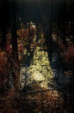 OutNAbout--37.jpg
