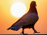1769804357460.png