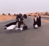 1278.gif