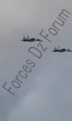 IMG_6629.jpeg