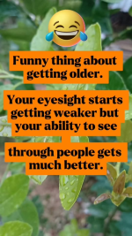 1770125687314.png