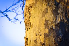 OutNAbout-2437.jpg