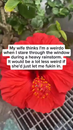1770329268941.png