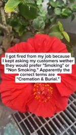 1770329320992.png