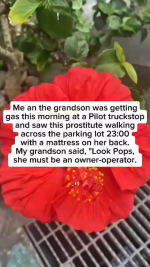 1770329361939.png