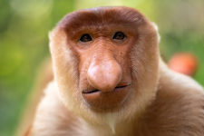 1770411787756.png 1770411787756.png