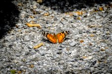 OutNAbout-6487.jpg