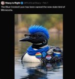 1770432883387.jpeg