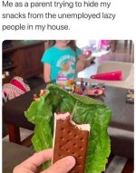 1770433515689.jpeg