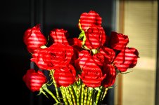 OutNAbout-3843.jpg