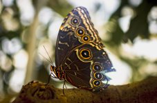 OutNAbout-8137.jpg OutNAbout-8137.jpg