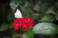OutNAbout-8148.jpg