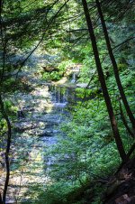 OutNAbout-4378.jpg