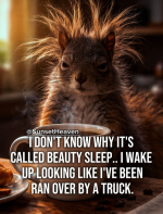 1771271923208.png