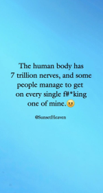 1771272053358.png