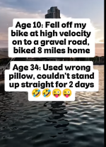 1771335643609.png