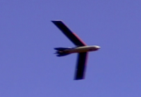 1707808402675.png
