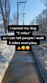 1771622028048.png
