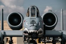 A10-closeup-nose-900x600.jpg