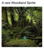 1771821390829.jpeg