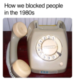 1772043297933.png