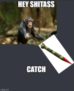 1772073848382.png