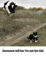 1772231621171.png