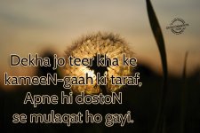 IMG_4359.jpeg