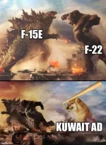 3-f-15s-went-down-v0-abvsvncsbmmg1.webp