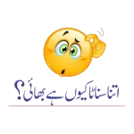 STK-20231006-WA0008.webp STK-20231006-WA0008.webp