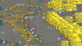 1000229558.jpg