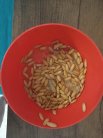 1772658897786.png