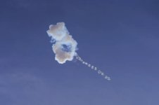 1772703504469.jpeg