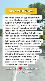 1772717326746.png