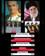 1773001967385.png