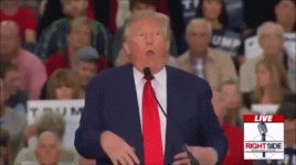 oxto1I.gif