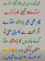 1773085026872.png