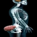 1773105593973.png