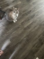 IMG_2816.jpeg