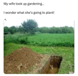 1773871332505.png