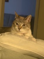 IMG_2829.jpeg