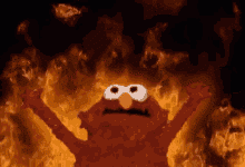 1773900272017.gif