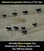 1773960932300.png
